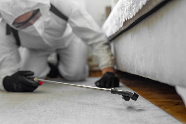 Professional Bed Bug Control technician working in Coeburn, VA