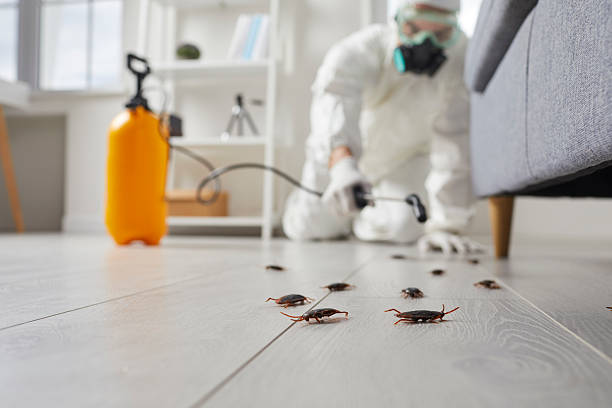 Trusted Bed Bug Control service in Coeburn, VA - Nex Pest Control