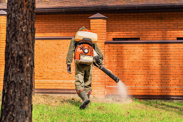 Trusted Ant Control service in Coeburn, VA - Nex Pest Control
